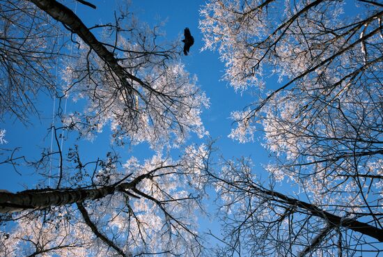 Russia Winter