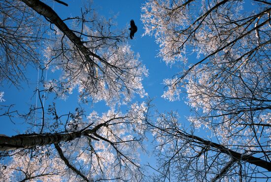 Russia Winter