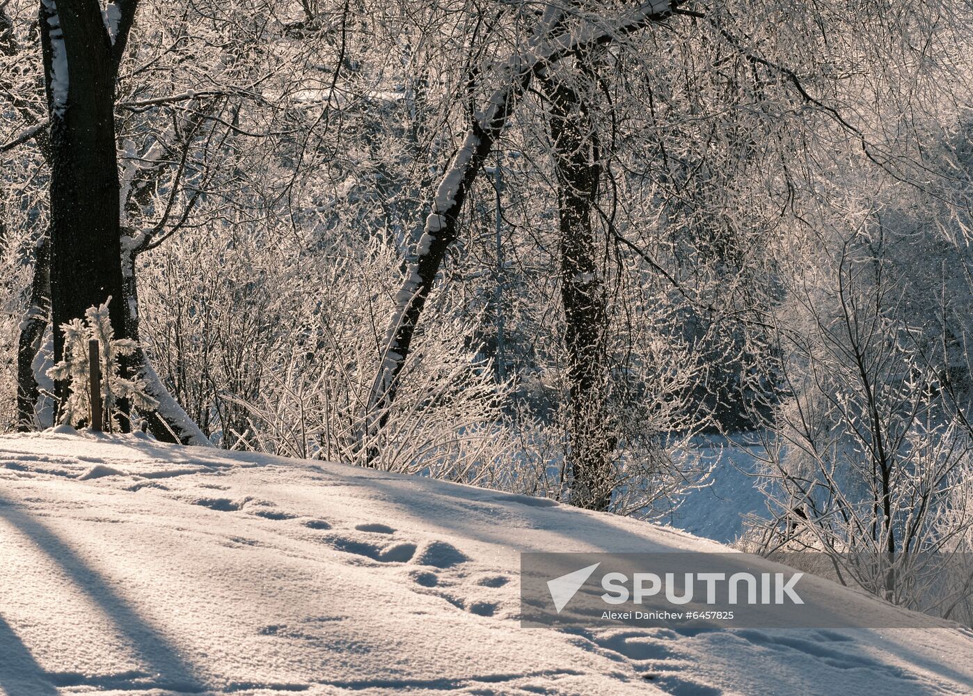 Russia Winter