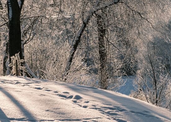Russia Winter
