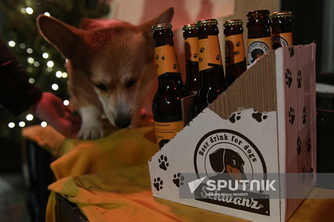 Russia Dog Beer