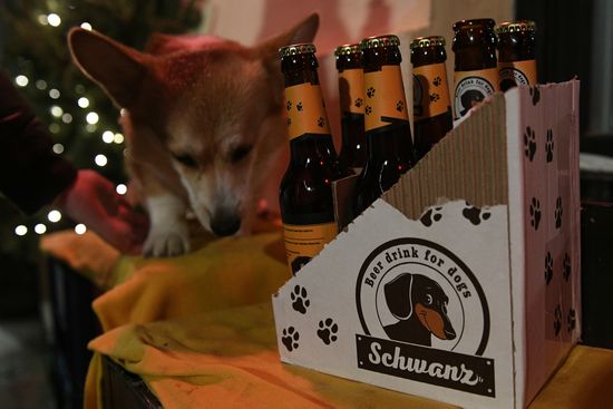 Russia Dog Beer