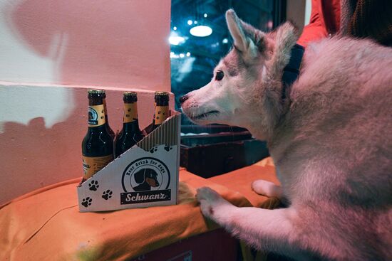 Russia Dog Beer