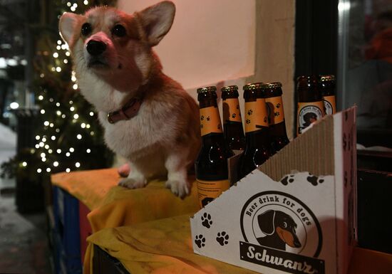 Russia Dog Beer
