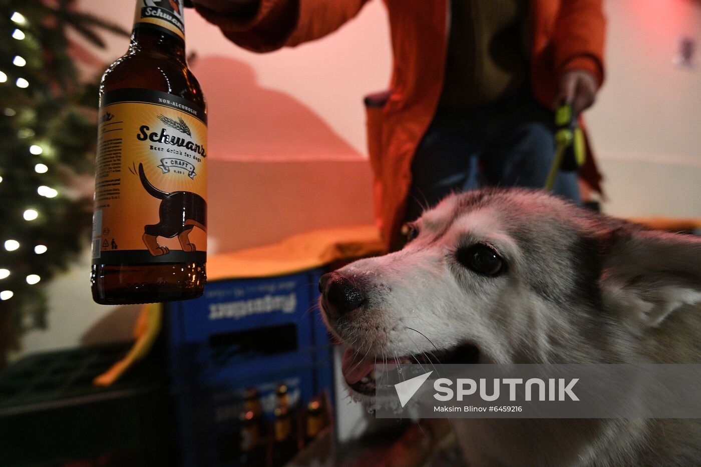 Russia Dog Beer