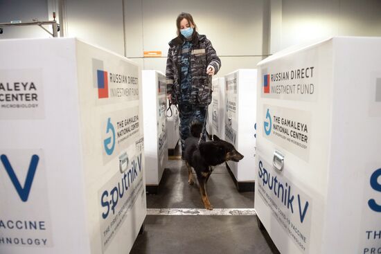 Russia Coronavirus Vaccine