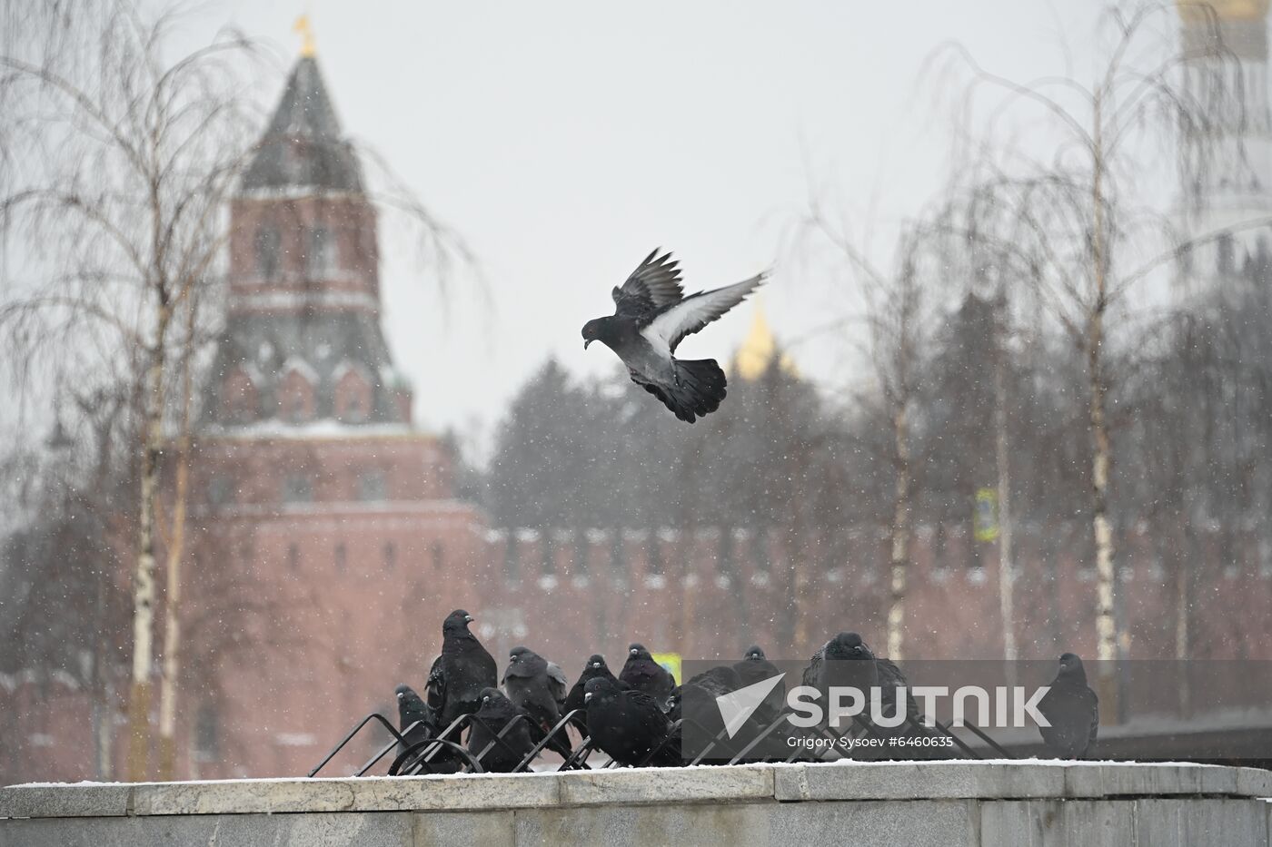 Russia Snowfall 