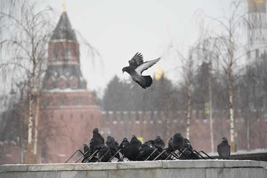 Russia Snowfall 