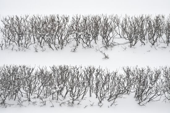 Russia Snowfall 