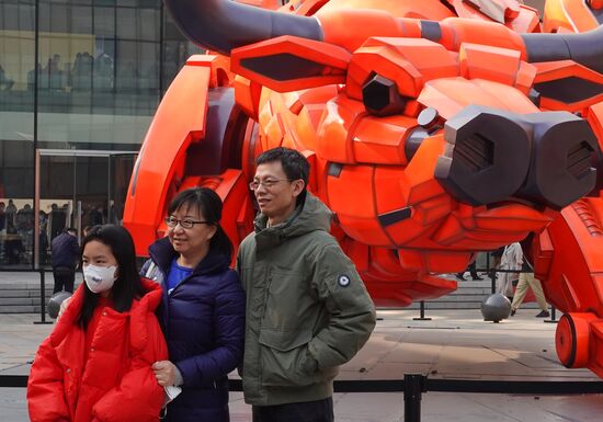 China New Year Celebration