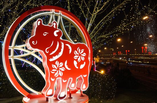 China New Year Celebration