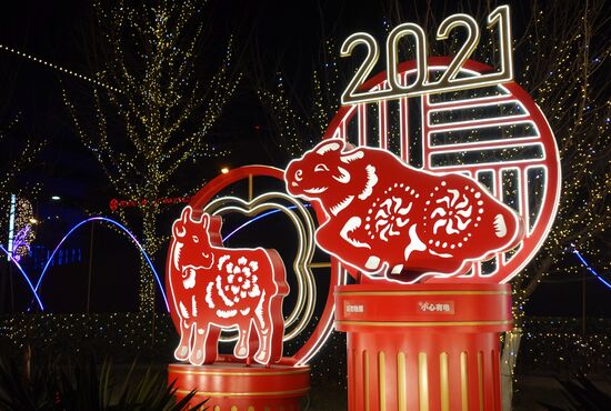 China New Year Celebration