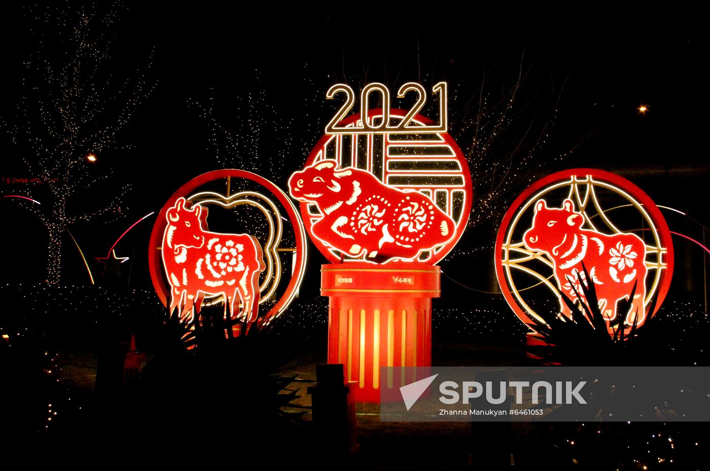 China New Year Celebration