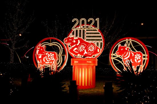 China New Year Celebration