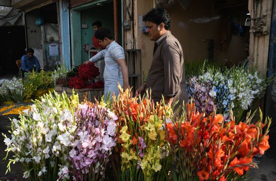 Pakistan Valentine's Day Preparations