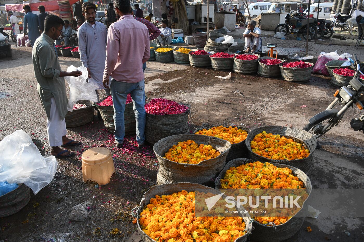 Pakistan Valentine's Day Preparations