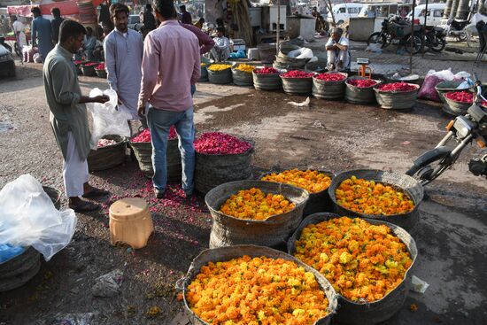 Pakistan Valentine's Day Preparations