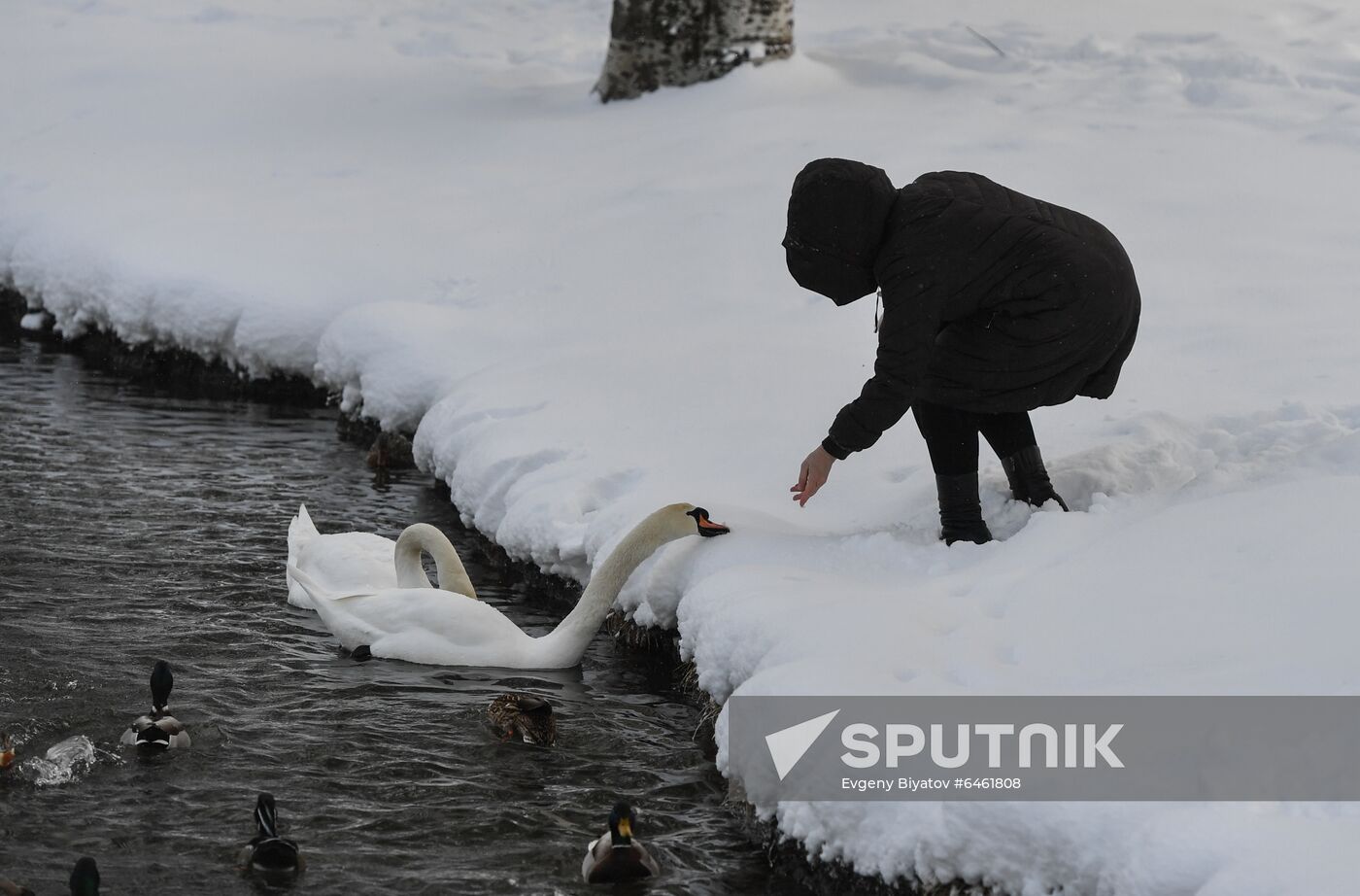 Russia Snowfall