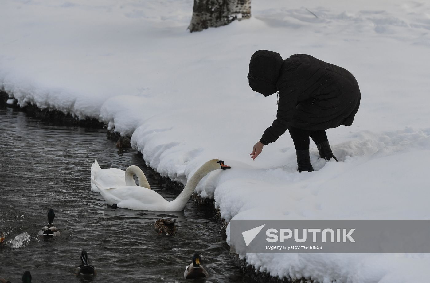 Russia Snowfall