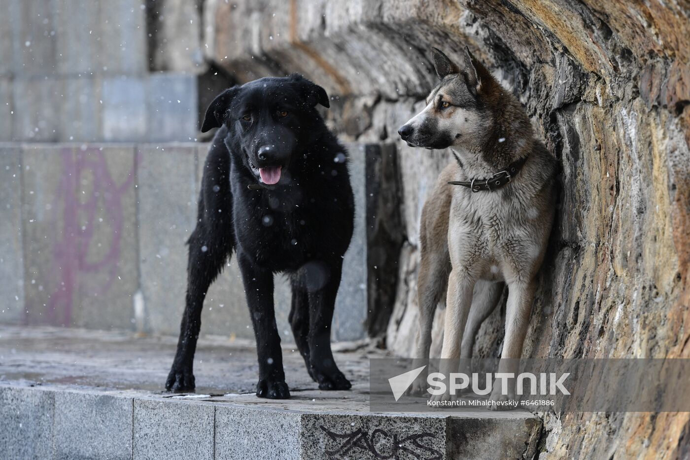 Russia Snowfall