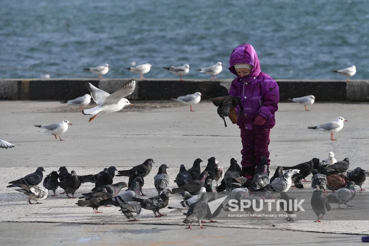 Russia Daily Life