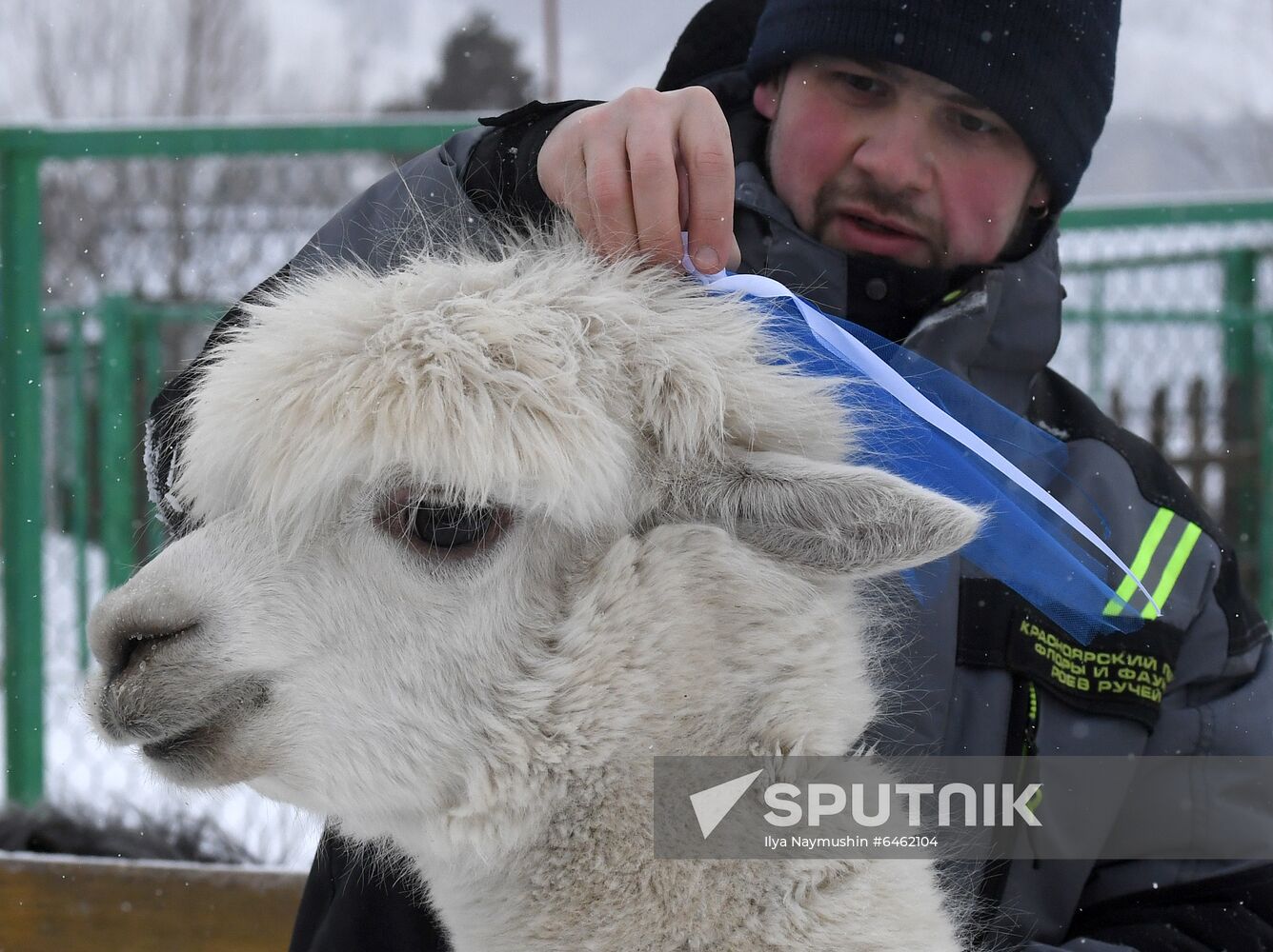 Russia Valentine's Day