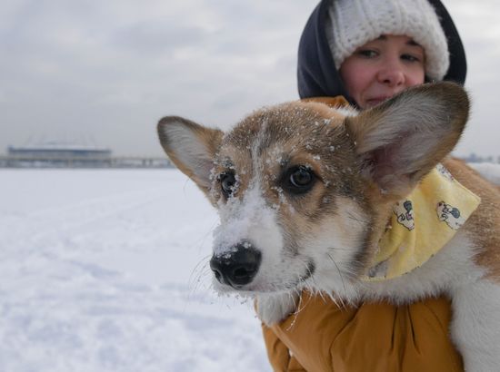 Russia Valentine's Day