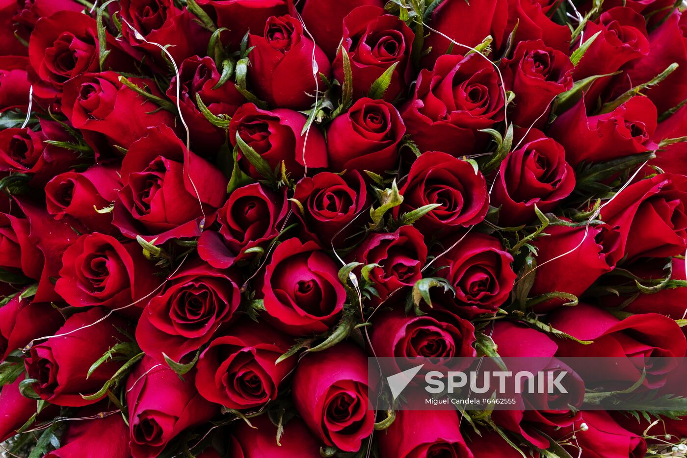 Celebrating Valentine's Day in Hong Kong