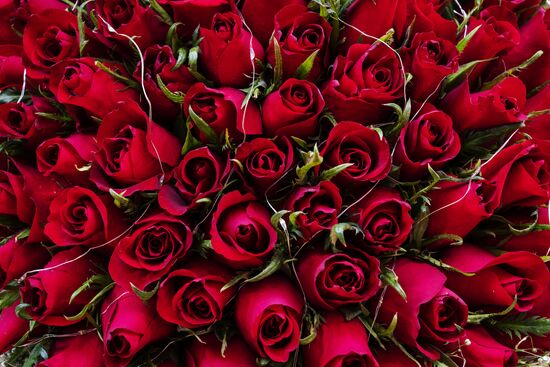 Celebrating Valentine's Day in Hong Kong
