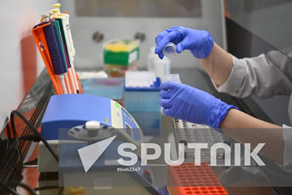 Russia Coronavirus British Strain Test