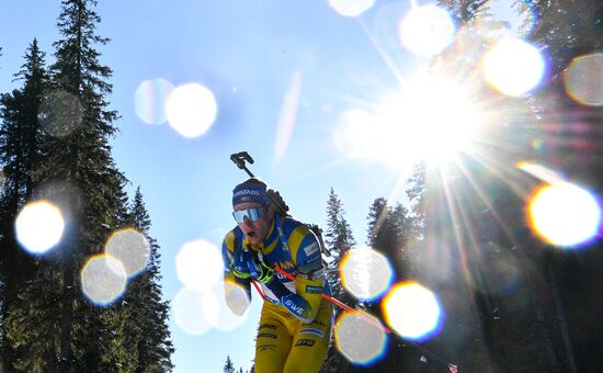 Slovenia Biathlon Worlds Men Individual