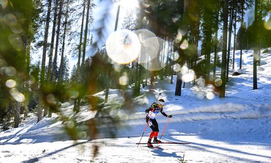 Slovenia Biathlon Worlds Men Individual