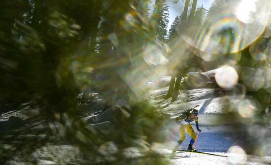 Slovenia Biathlon Worlds Men Individual