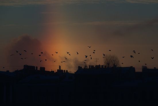 Russia Winter
