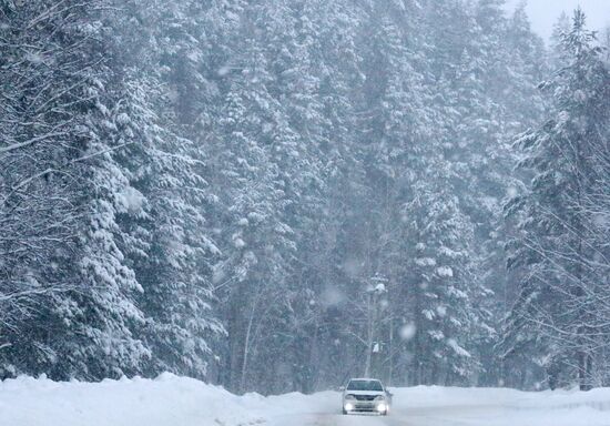 Russia Snowfall