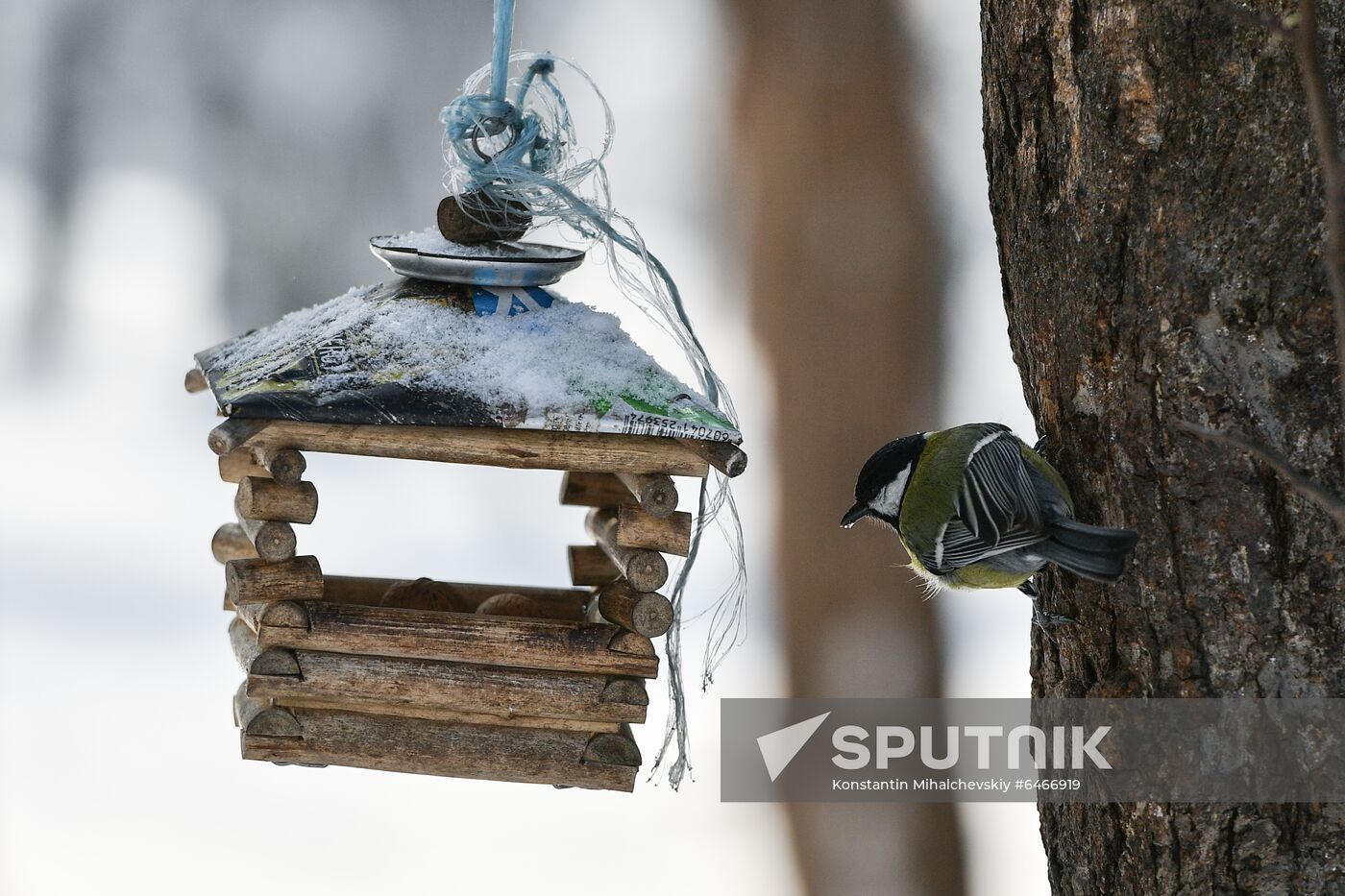 Russia Winter 