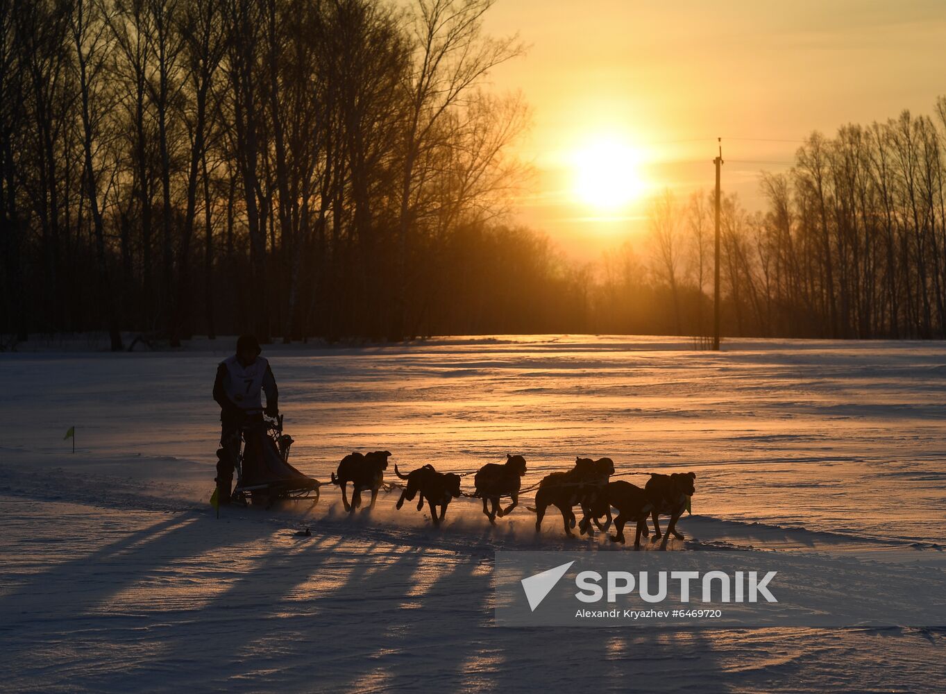 Russia Sled Dog Race