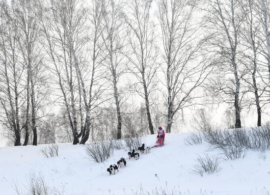 Russia Sled Dog Race