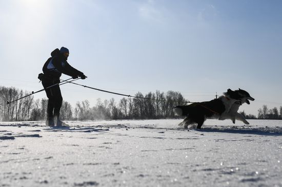 Russia Sled Dog Race