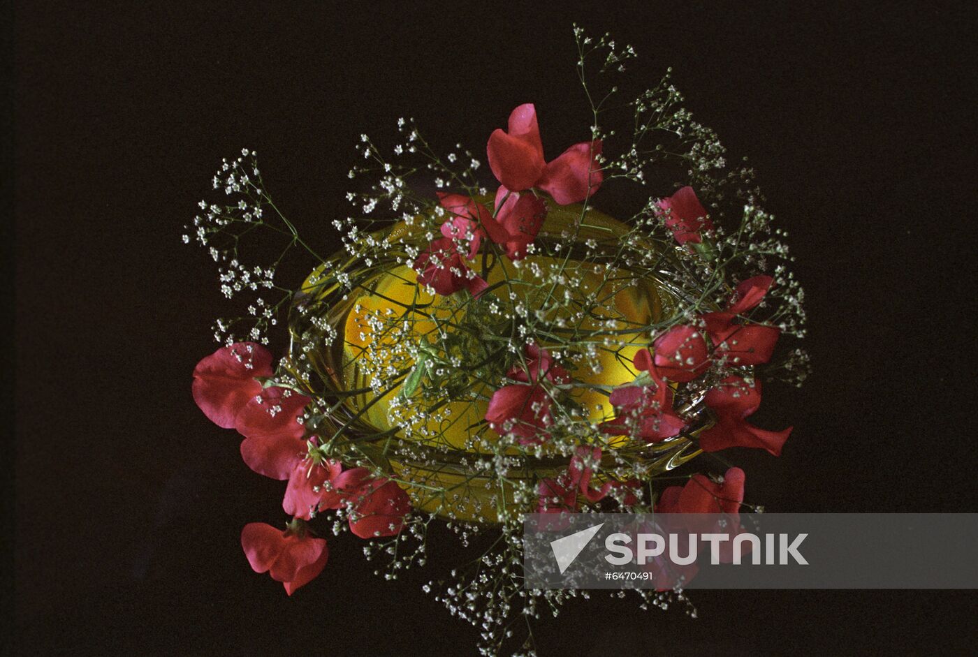 Bunch of flowers
