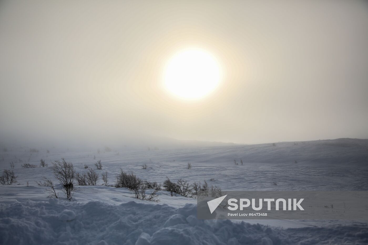 Russia Teriberka Snowstorm Cars Stuck