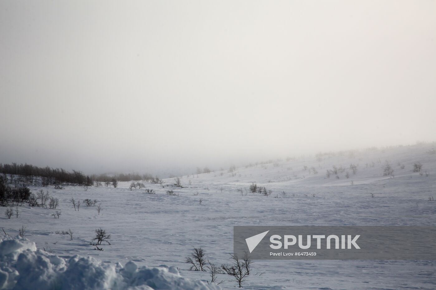 Russia Teriberka Snowstorm Cars Stuck