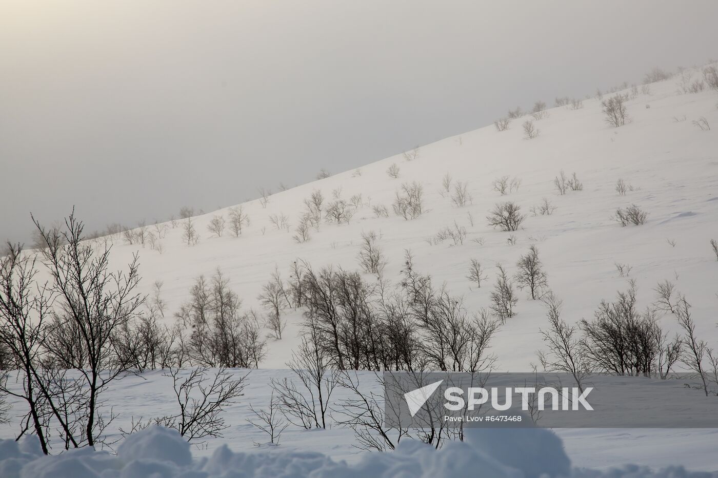 Russia Teriberka Snowstorm Cars Stuck