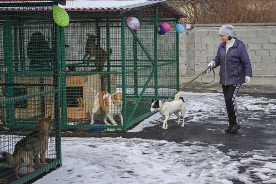 Russia Homeless Animals' Shelter