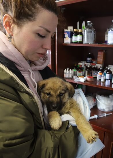 Russia Homeless Animals' Shelter