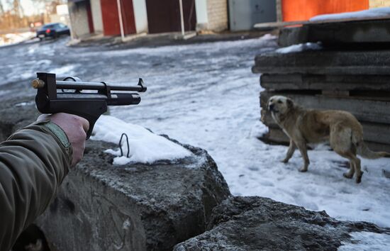 Russia Homeless Animals' Shelter 