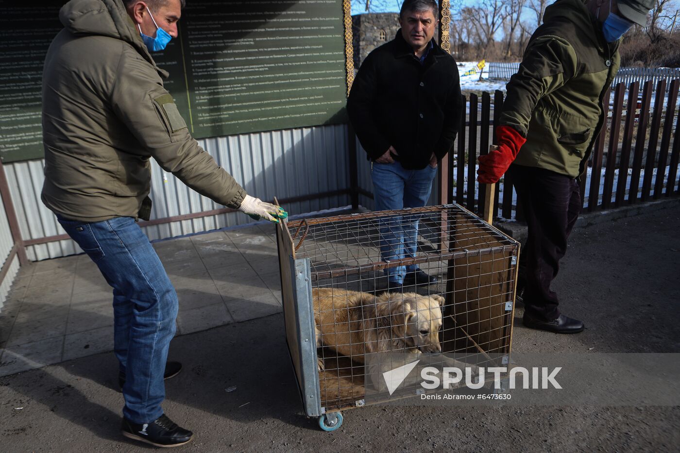 Russia Homeless Animals' Shelter