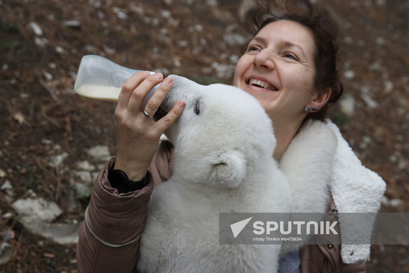 Russia International Polar Bear Day