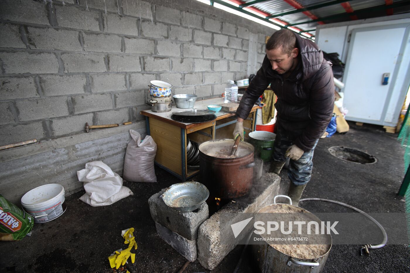 Russia Homeless Animals' Shelter