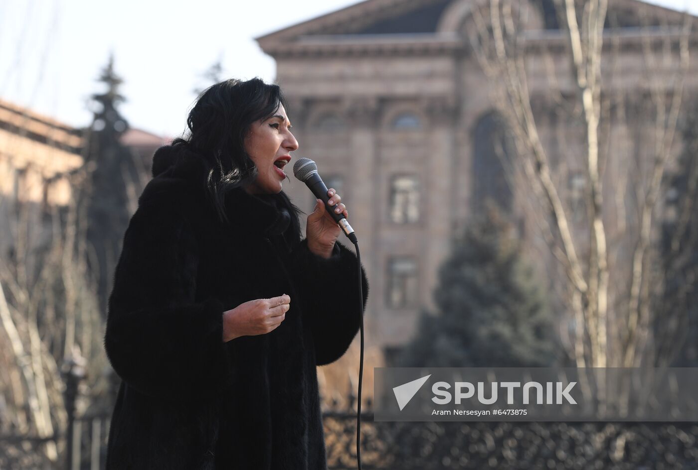 Armenia Protest